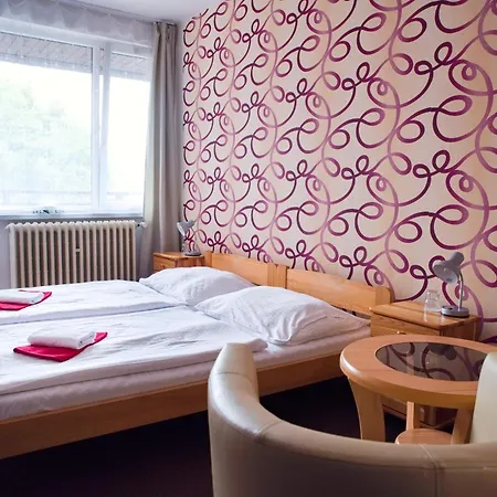 Hotel Zimni Stadion 3*