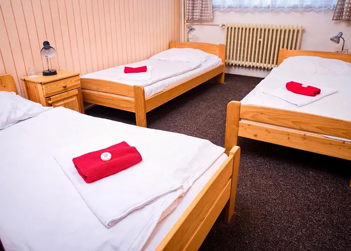 Zimni Stadion Hotel 3*