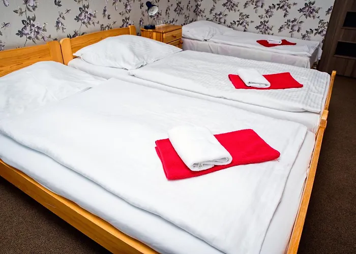 Hotel Zimni Stadion 3*