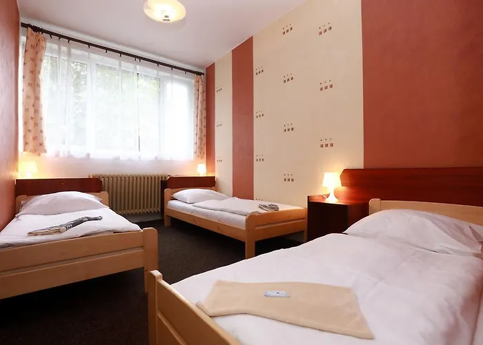 Hotel Zimní Stadion